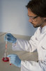 Lab Work