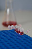 Lab Work