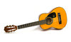 Acoustic Guitar