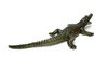 Alligator GRRRRRR.....