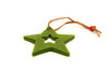 Christmas star