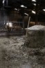 The Farm!