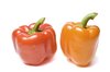 Paprika