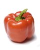 Paprika