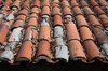Roof 1