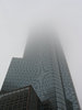 into the fog