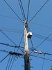 utility pole