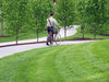 paths