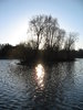lake in the park