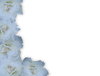 White Rose Border