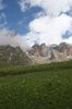 Mountain meadow