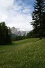 Mountain meadow
