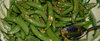 Peas