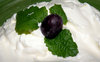 Whipped Cream