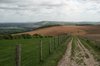 South Downs landscape