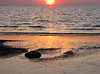 seashore reflections