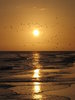 Sunsets
