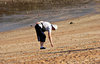 selecting seashells on the sea