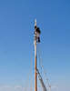 up the mast
