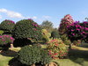 botanical gardens