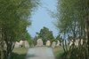 Cementary
