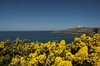 A View From Anglesey