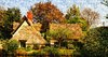 Old English thatched cottage w