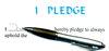 pledge 101