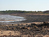rocky shore