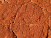 red pindan soil