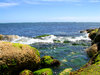 dorset coastline