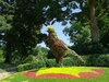 flower bird