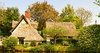 Thatched Cottage