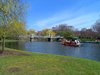 Bridge and Swan Boats