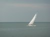 Sailing Boat.