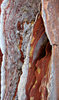 layered rocks
