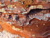 layered rocks
