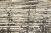 Cracked wood texture
