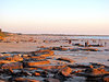 rocky beach - low tide