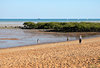 ocean beach view