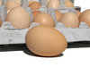 more eggs