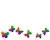 Butterfly Border