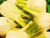 Fennel