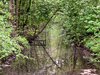 idyllic channel landscape