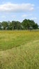 Texas Prairie