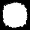 Burst 2