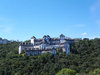 Castle in the Forest