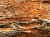 layered rocks
