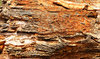 layered rocks