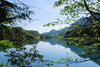 alpsee lake